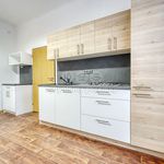 Rent 1 bedroom apartment of 140 m² in Božkov