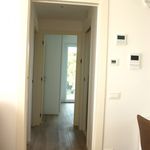 Rent 2 bedroom apartment of 75 m² in Riccione