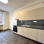 Rent 1 bedroom apartment of 40 m² in Náchod