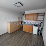 Rent 1 bedroom apartment of 22 m² in Ústí nad Labem