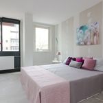 Rent 2 bedroom apartment of 66 m² in Alphen Aan Den Rijn