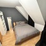 Appartement de 49 m² avec 1 chambre(s) en location à Altkirch