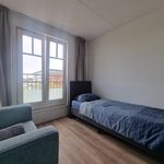 Rent 8 bedroom house of 157 m² in Assen