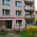 Pronajměte si 1 ložnic/e byt v Liberec