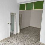 Rent 4 bedroom apartment of 110 m² in Mazara del Vallo