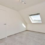 Rent 4 bedroom house of 180 m² in Wevelgem