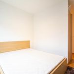 Rent 2 bedroom apartment of 95 m² in ixelles