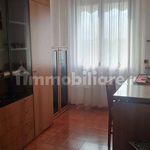 Affitto 4 camera appartamento di 130 m² in Treviso