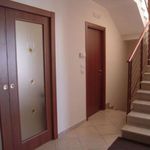 Rent 3 bedroom apartment of 250 m² in Brindisi