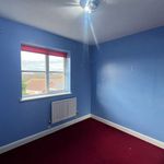 Rent 4 bedroom apartment in Cardiff