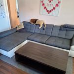 Rent 2 bedroom apartment of 57 m² in Jáchymov