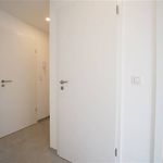 Rent 1 bedroom apartment in Huy