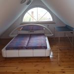 Rent 3 bedroom house of 160 m² in Gryfice
