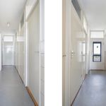Rent 4 bedroom apartment in Delft