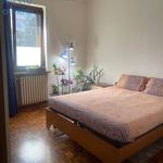 Rent 2 bedroom apartment of 55 m² in Brusasco