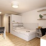 Miete 1 Schlafzimmer wohnung von 25 m² in Sankt Pölten