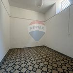 Rent 4 bedroom apartment of 115 m² in Palermo
