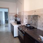 Rent 5 bedroom apartment of 157 m² in Roma