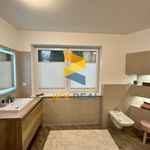 Rent 1 bedroom apartment of 150 m² in Orlová