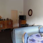 Appartement de 30 m² avec 1 chambre(s) en location à Amélie-les-Bains-Palalda