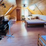 Rent 1 bedroom apartment of 120 m² in Číhošť