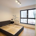 Rent 2 bedroom apartment of 54 m² in Bielsko-biała