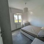 Affitto 3 camera appartamento di 65 m² in Pomezia