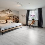 Rent 2 bedroom apartment of 42 m² in Oberhausen