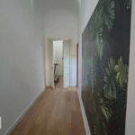 Rent 3 bedroom house of 80 m² in Catania