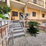 Affitto 5 camera casa di 380 m² in Santa Maria Capua Vetere