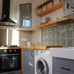 Rent 2 bedroom apartment of 52 m² in Karlovy Vary