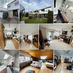 Rent 1 bedroom house in Stuttgart