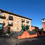 Rent 1 bedroom apartment of 42 m² in Verona