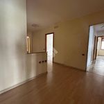 Affitto 5 camera appartamento di 250 m² in Cosenza