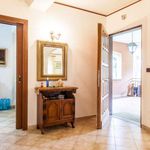 Rent 1 bedroom apartment of 240 m² in Civitavecchia