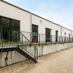 Rent 1 bedroom apartment of 160 m² in Hoogstraten