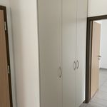 Rent 4 bedroom apartment in Arbedo-Castione