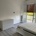 Rent 1 bedroom apartment of 80 m² in Corsico