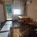 Rent 1 bedroom apartment of 28 m² in Miskolc