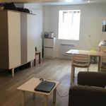 Rent 1 bedroom apartment of 26 m² in Sassenage
