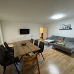 Rent 3 bedroom apartment of 80 m² in Graz