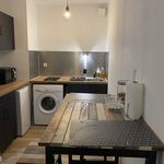 Rent 1 bedroom apartment of 31 m² in Pau