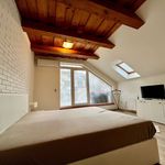 Rent 4 bedroom apartment of 214 m² in Staré Město
