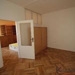Rent 1 bedroom apartment of 43 m² in Zlín