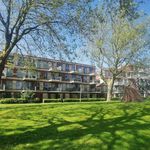 Rent 2 bedroom apartment of 80 m² in Hoofddorp