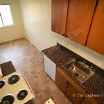 Rent 1 bedroom apartment in El Cerrito