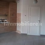 Affitto 1 camera appartamento di 55 m² in Biella