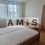Rent 1 bedroom apartment of 36 m² in Píšťany