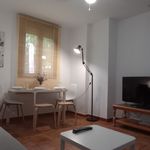 Alquilo 1 dormitorio apartamento de 40 m² en Guillena