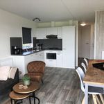 Rent 4 bedroom house in Retranchement